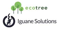 ecotree-iguane
