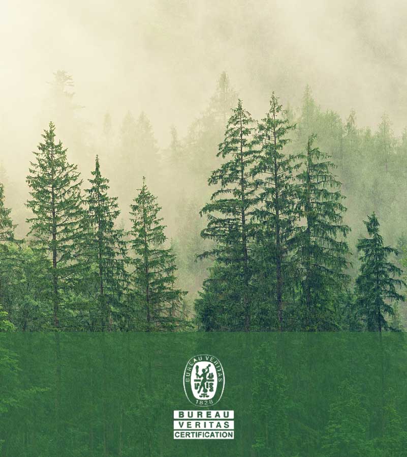 certification-ecoresponsable-bureau-veritas