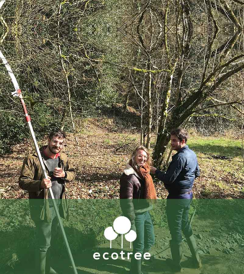 ecotree-zeendoc-partenariat-reduction-carbone-entreprise