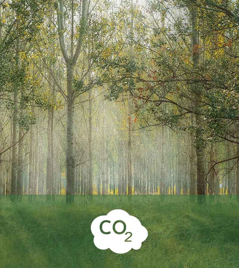 ged-bas-carbone-bilan